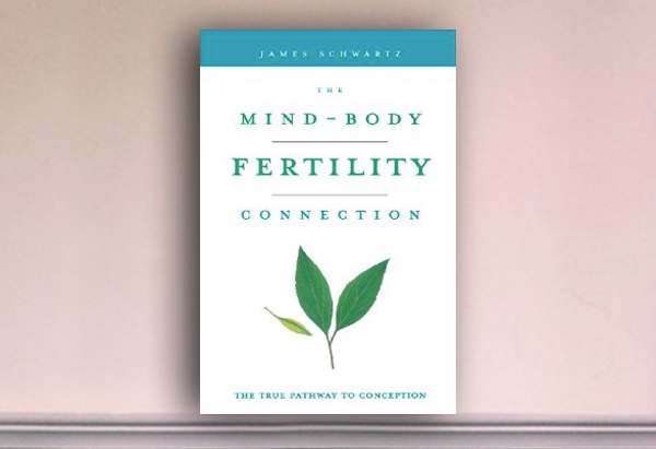 THE MIND BODY FERTILITY CONNECTION
