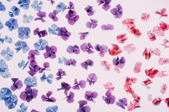 Five Fertility Secrets I Wish I Had Known Sooner thumbnail