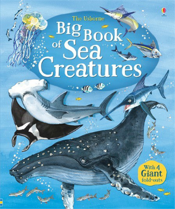 9781474921015-big-book-of-sea-creatures-2