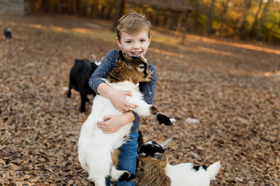 Tips for parenting lamb children